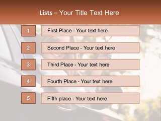 The Girl In The Car PowerPoint Template