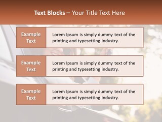 The Girl In The Car PowerPoint Template