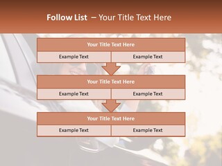 The Girl In The Car PowerPoint Template