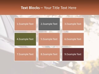 The Girl In The Car PowerPoint Template