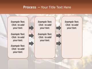 The Girl In The Car PowerPoint Template