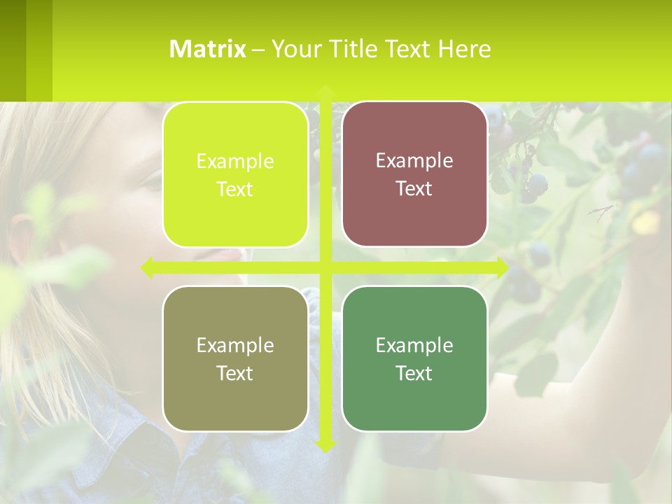 The Girl Collects Blueberries PowerPoint Template