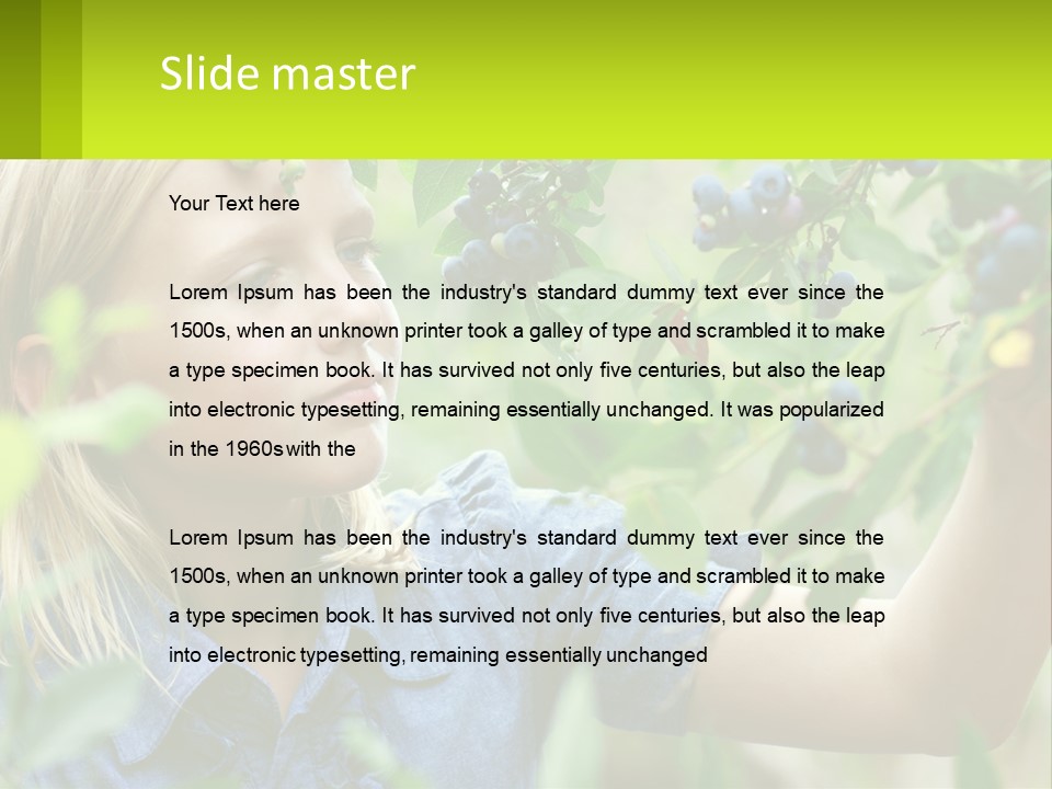 The Girl Collects Blueberries PowerPoint Template