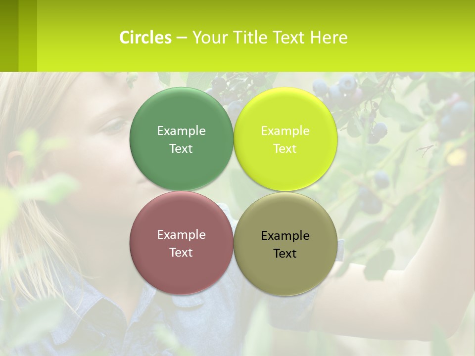 The Girl Collects Blueberries PowerPoint Template