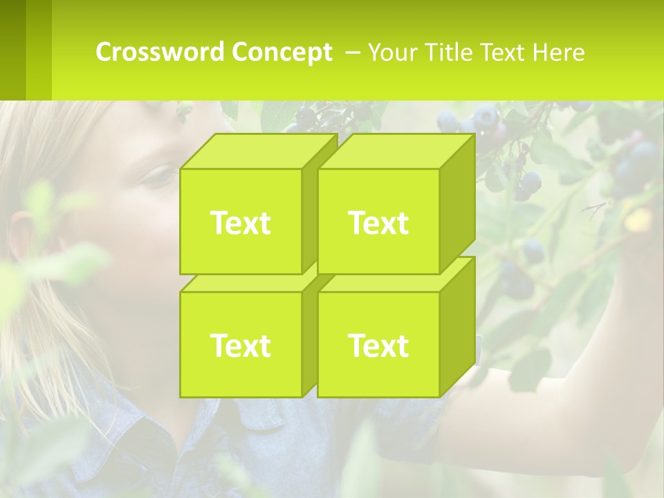 The Girl Collects Blueberries PowerPoint Template