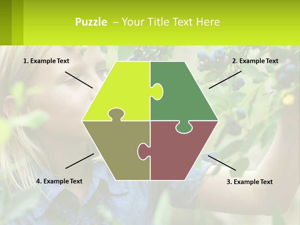 The Girl Collects Blueberries PowerPoint Template