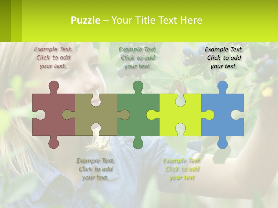 The Girl Collects Blueberries PowerPoint Template