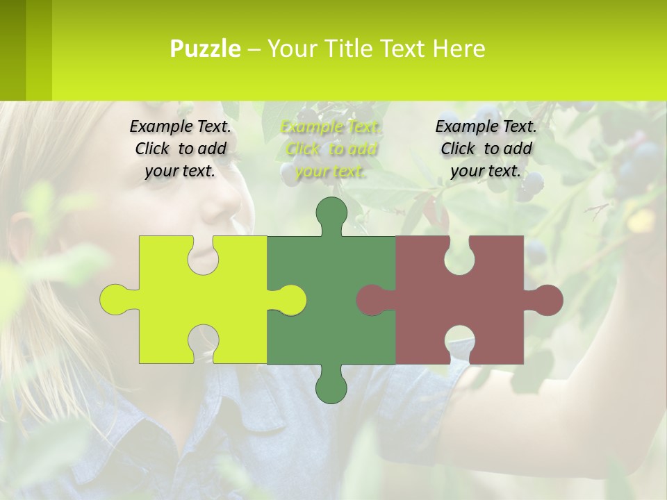 The Girl Collects Blueberries PowerPoint Template