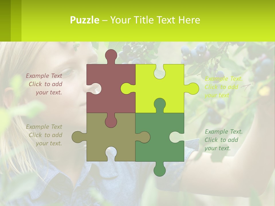 The Girl Collects Blueberries PowerPoint Template