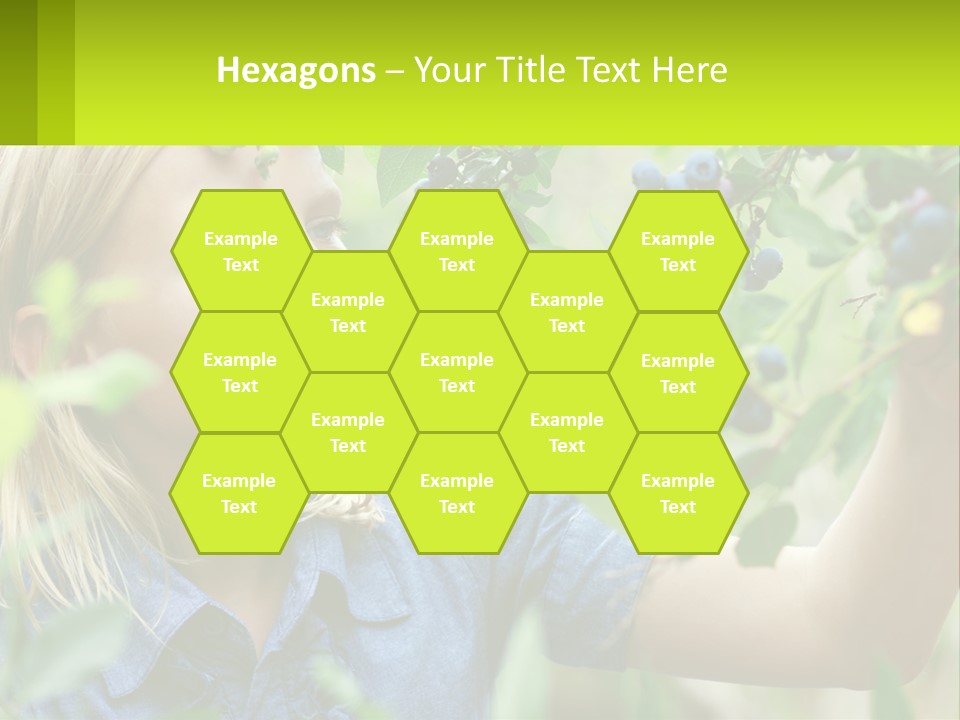 The Girl Collects Blueberries PowerPoint Template