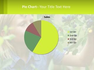 The Girl Collects Blueberries PowerPoint Template