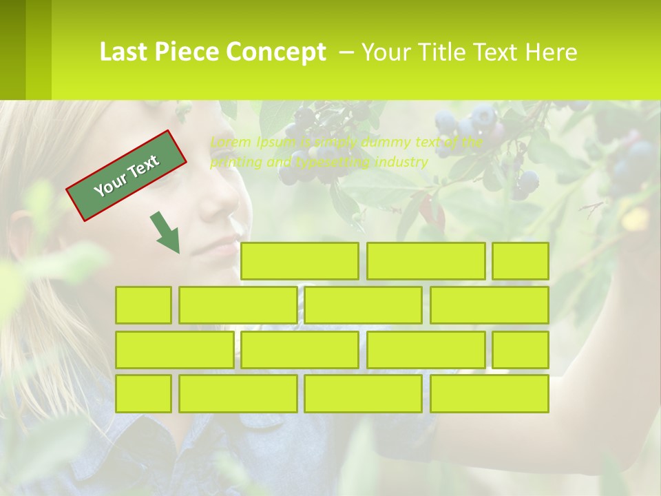 The Girl Collects Blueberries PowerPoint Template