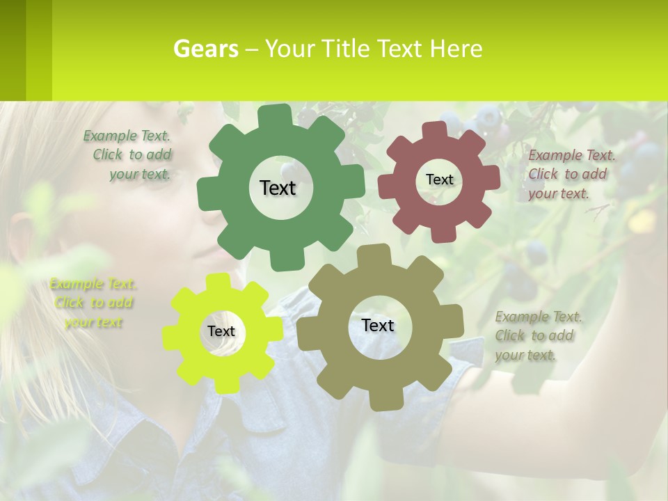 The Girl Collects Blueberries PowerPoint Template