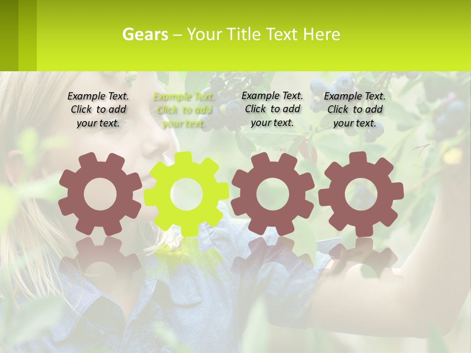 The Girl Collects Blueberries PowerPoint Template