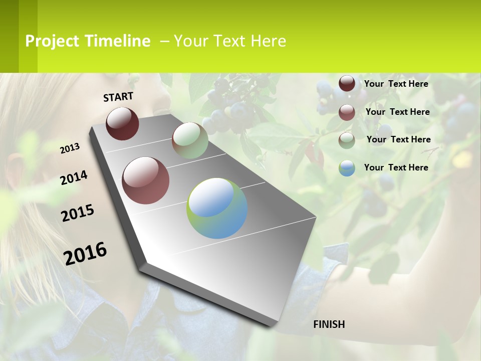 The Girl Collects Blueberries PowerPoint Template