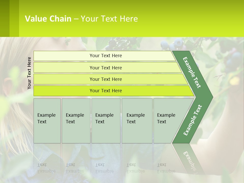 The Girl Collects Blueberries PowerPoint Template