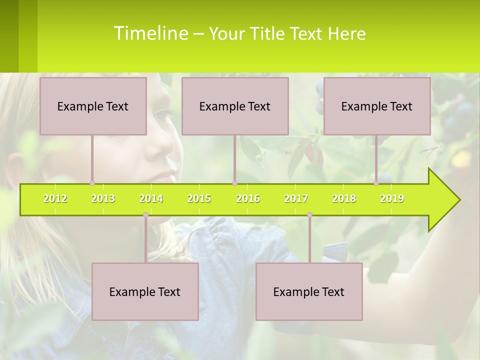 The Girl Collects Blueberries PowerPoint Template