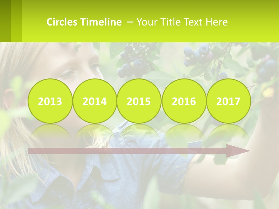 The Girl Collects Blueberries PowerPoint Template