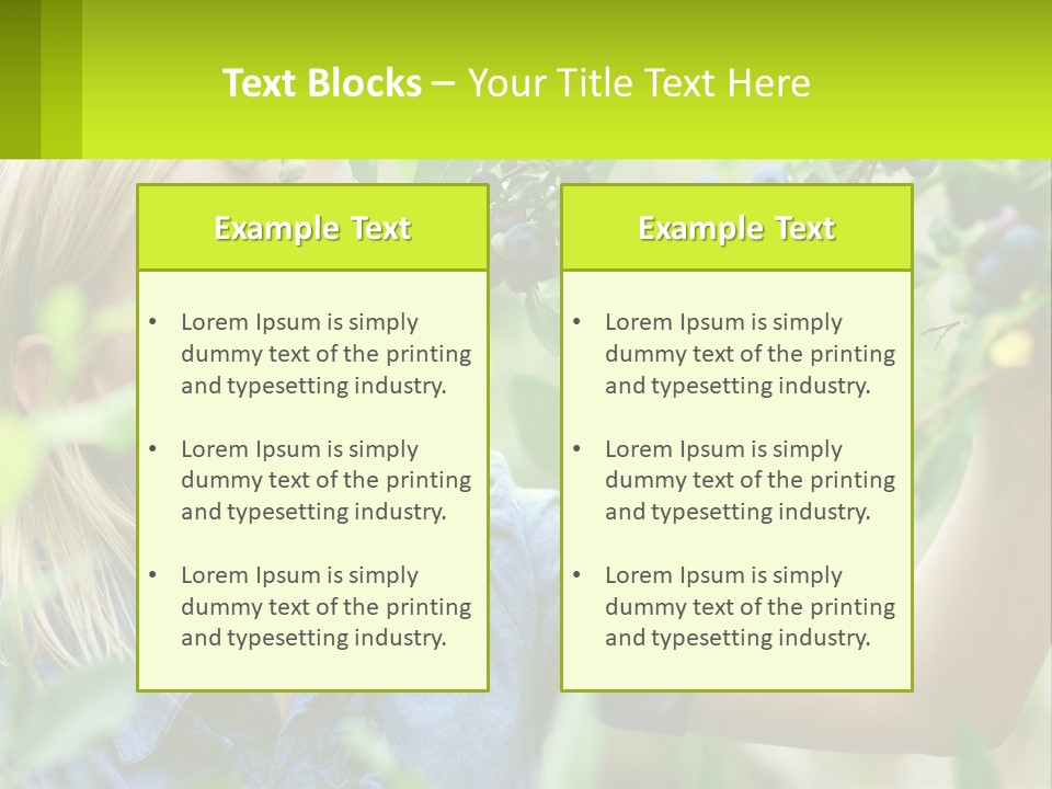 The Girl Collects Blueberries PowerPoint Template