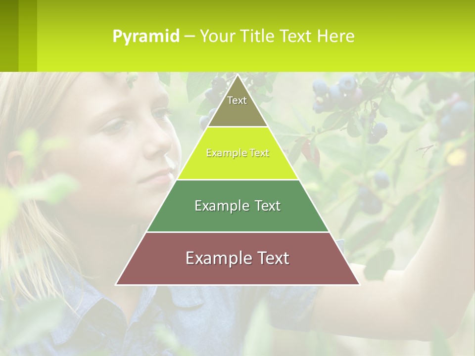 The Girl Collects Blueberries PowerPoint Template