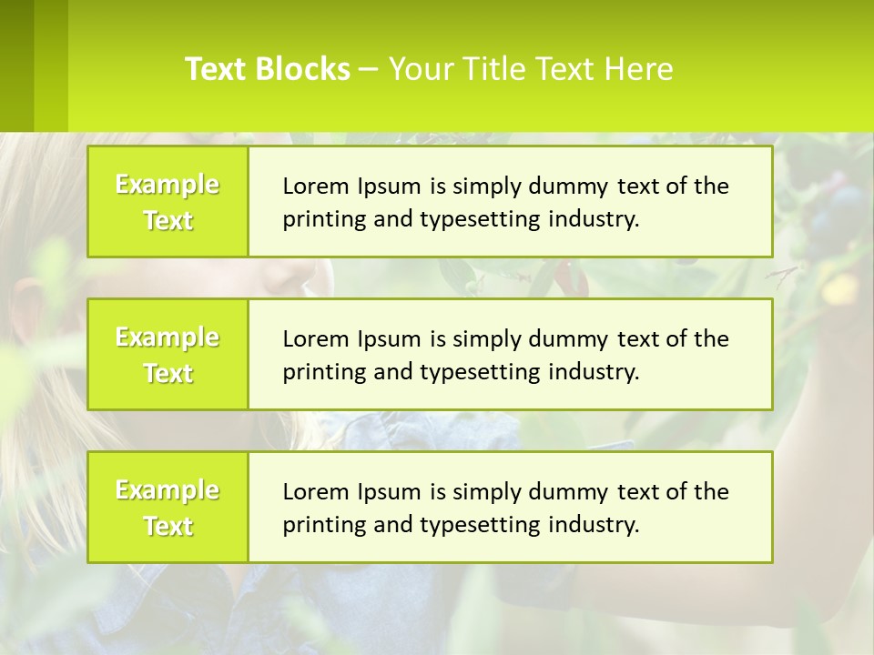 The Girl Collects Blueberries PowerPoint Template