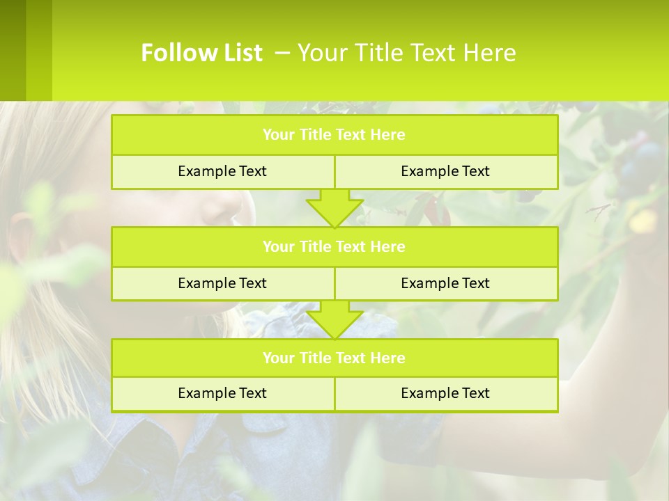 The Girl Collects Blueberries PowerPoint Template