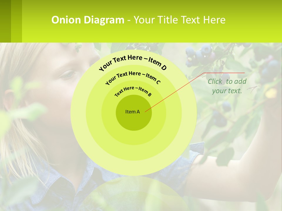 The Girl Collects Blueberries PowerPoint Template