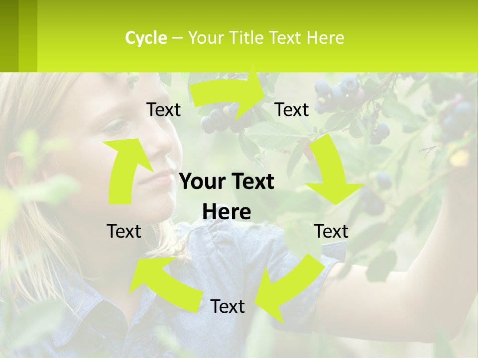 The Girl Collects Blueberries PowerPoint Template