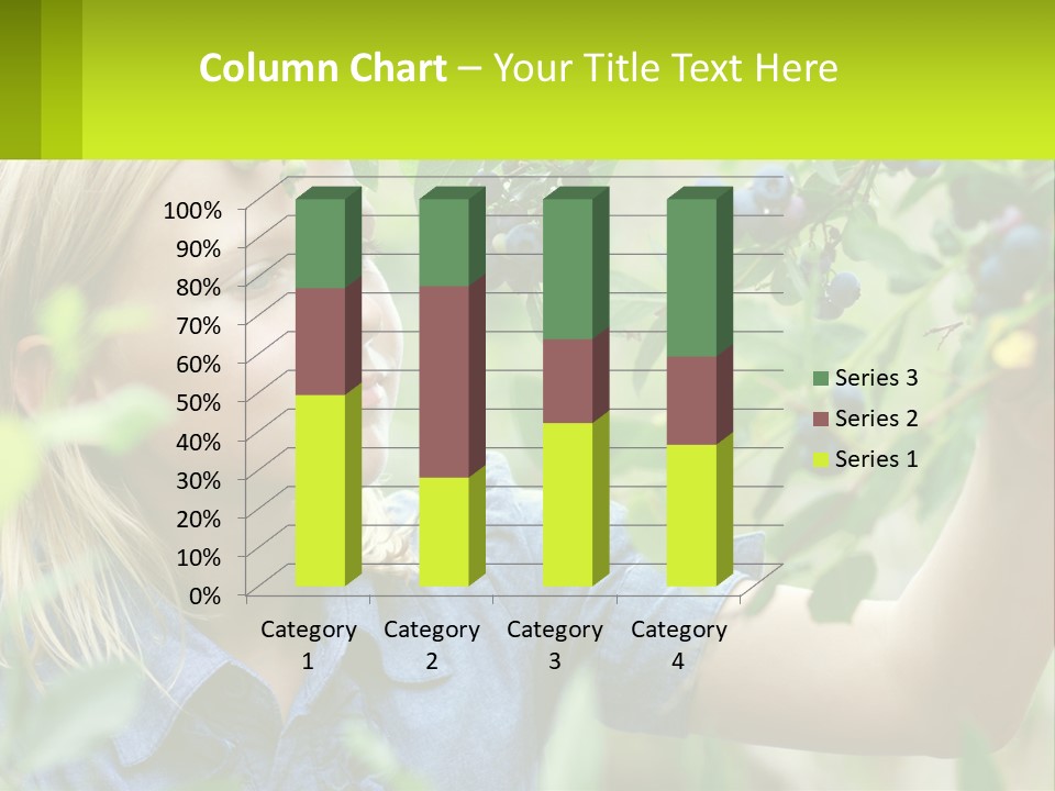 The Girl Collects Blueberries PowerPoint Template