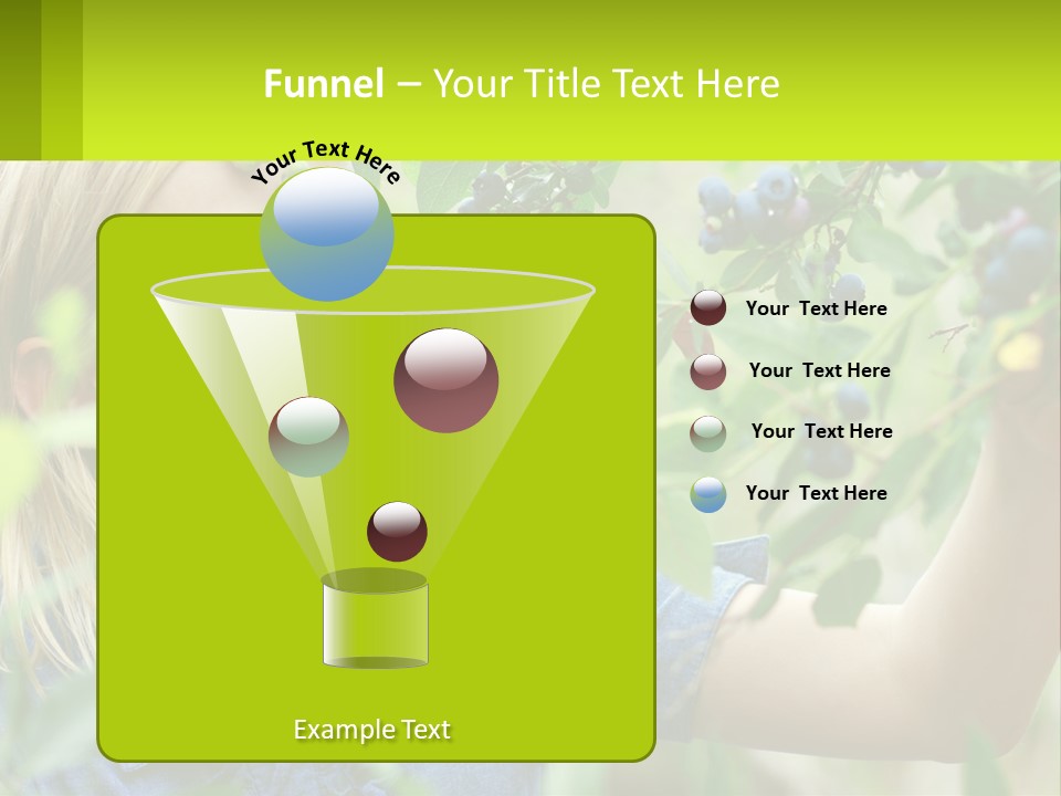 The Girl Collects Blueberries PowerPoint Template