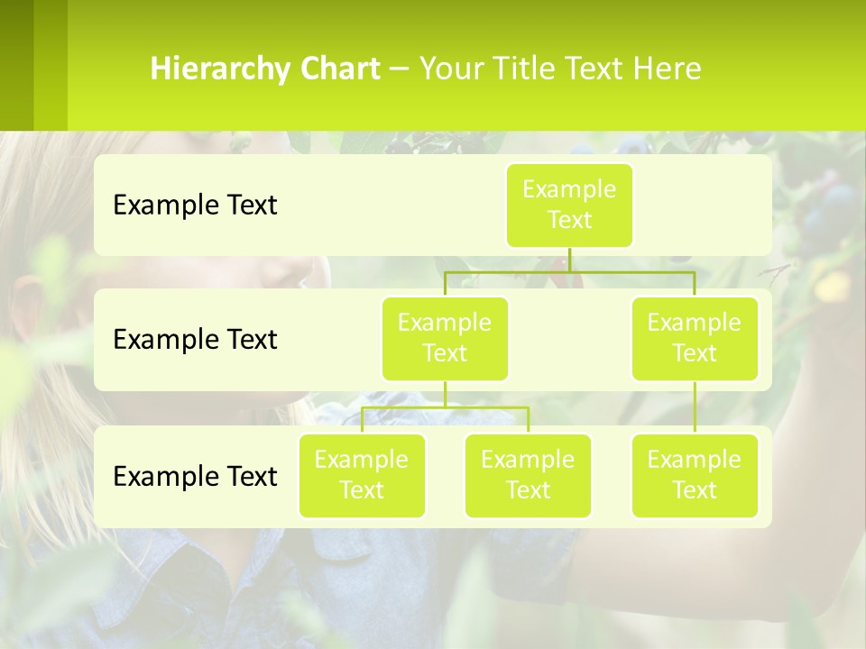 The Girl Collects Blueberries PowerPoint Template
