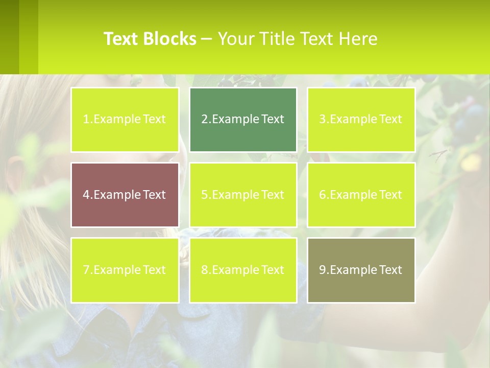 The Girl Collects Blueberries PowerPoint Template