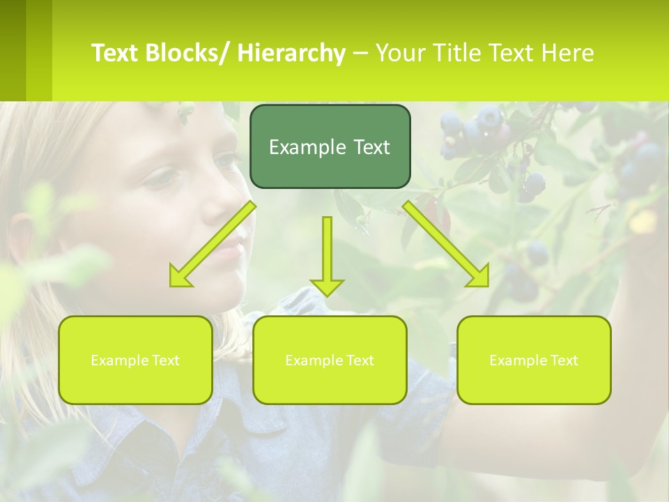 The Girl Collects Blueberries PowerPoint Template