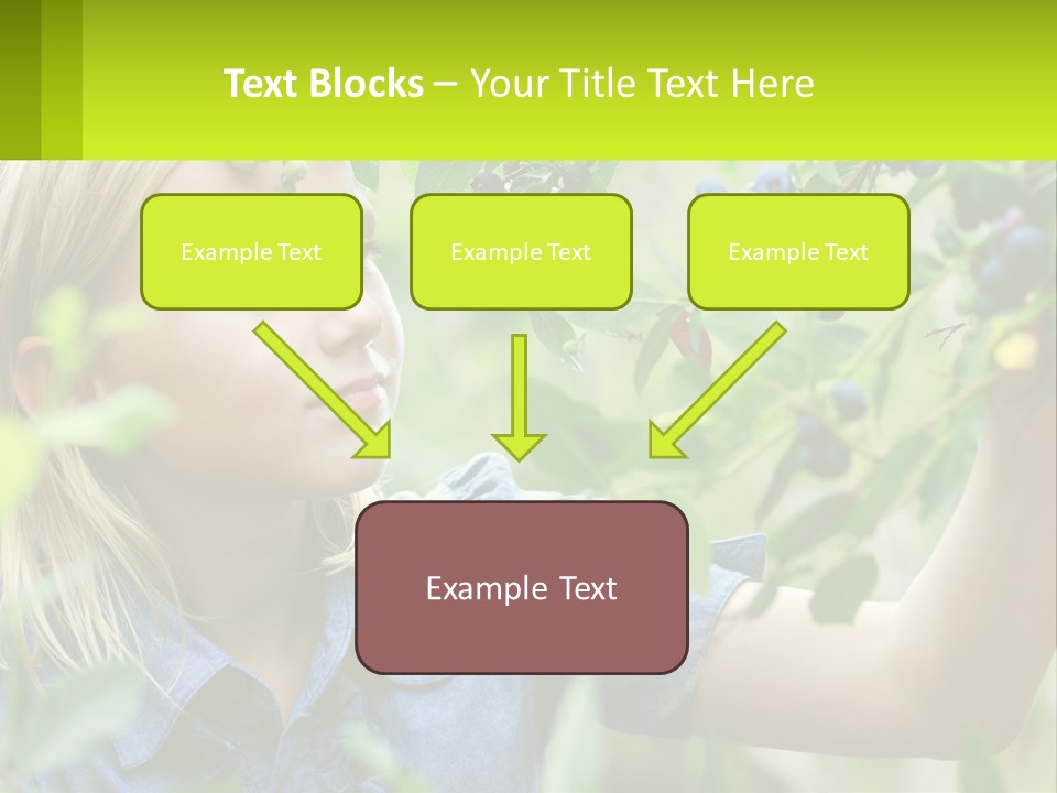 The Girl Collects Blueberries PowerPoint Template