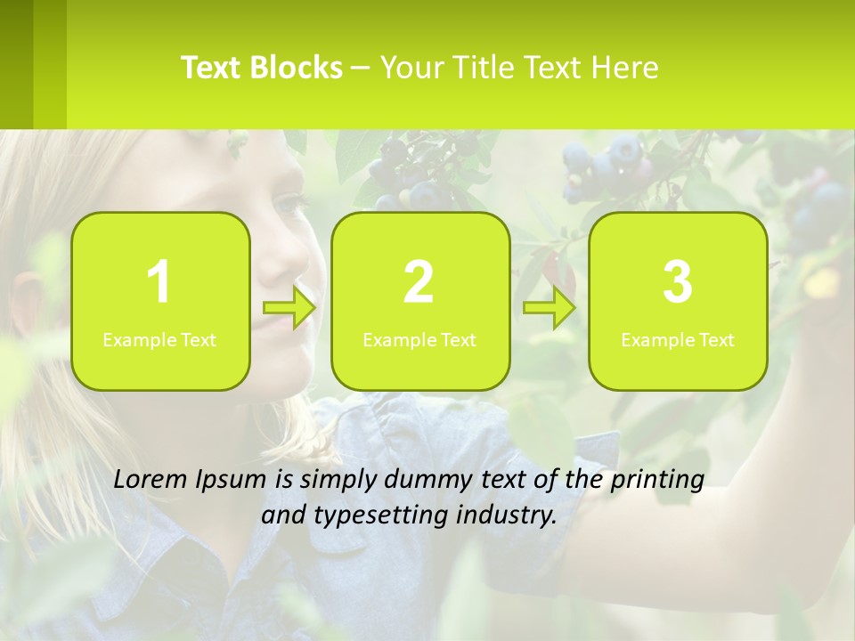 The Girl Collects Blueberries PowerPoint Template