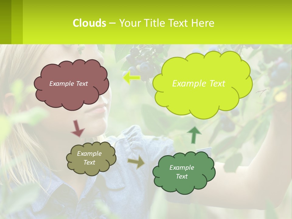 The Girl Collects Blueberries PowerPoint Template