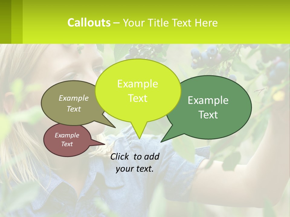 The Girl Collects Blueberries PowerPoint Template