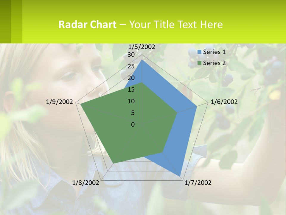 The Girl Collects Blueberries PowerPoint Template