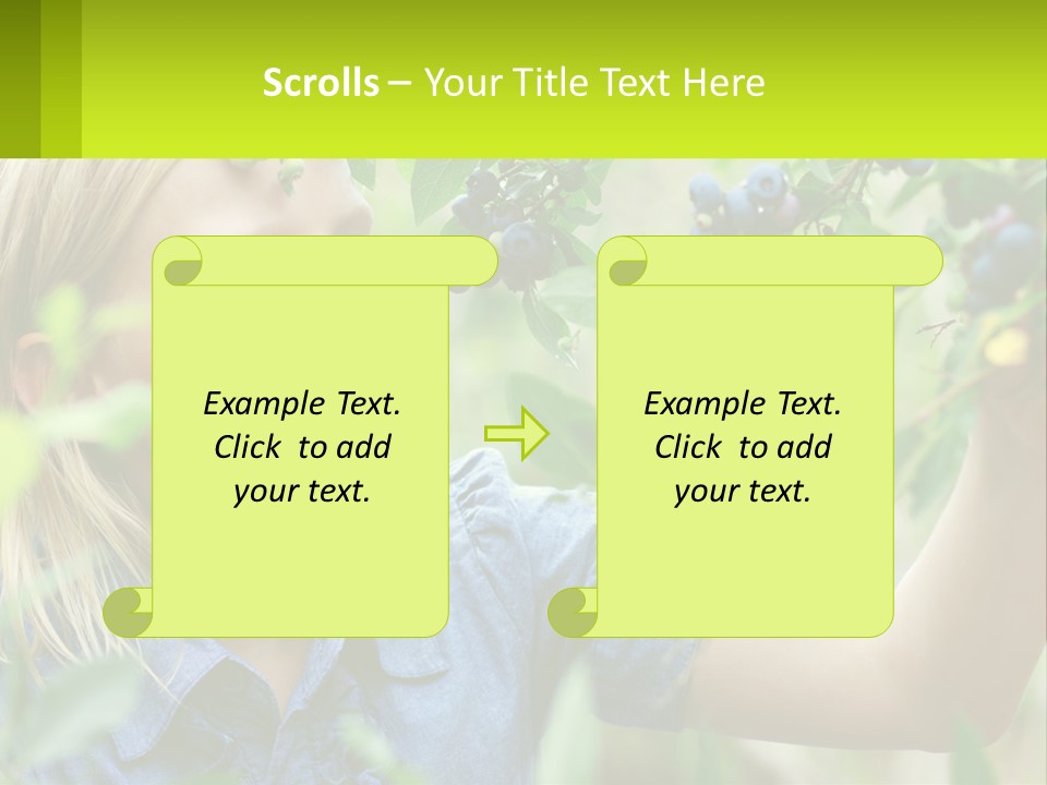 The Girl Collects Blueberries PowerPoint Template