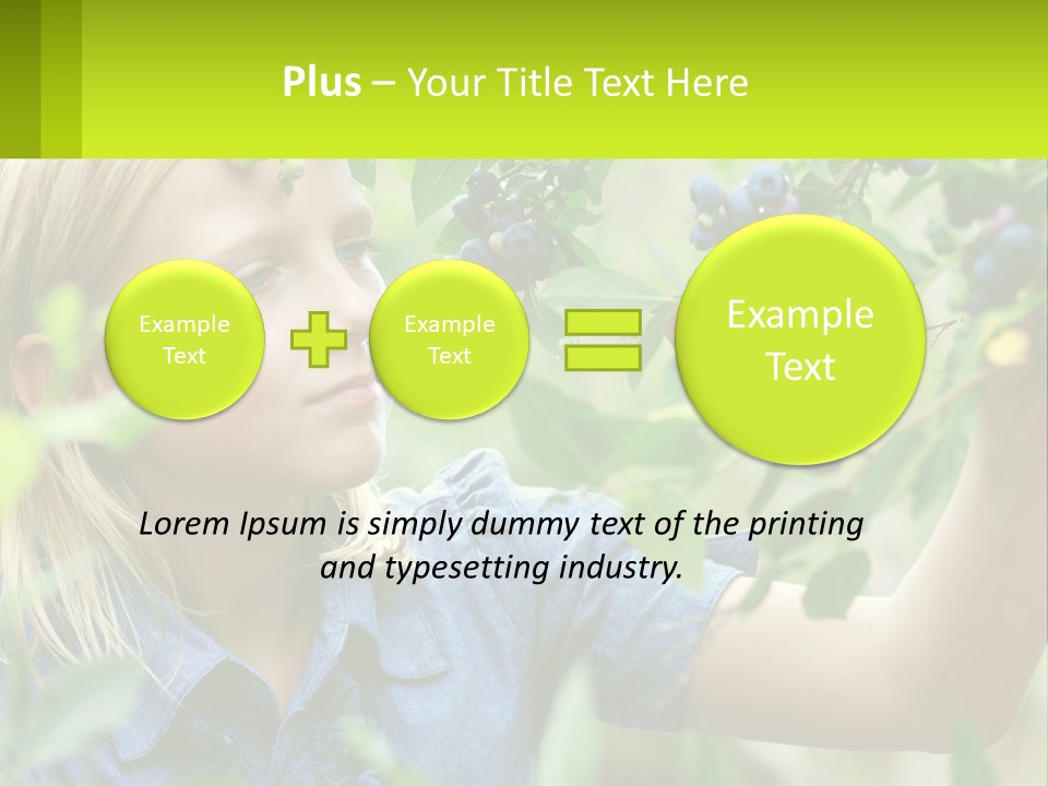 The Girl Collects Blueberries PowerPoint Template