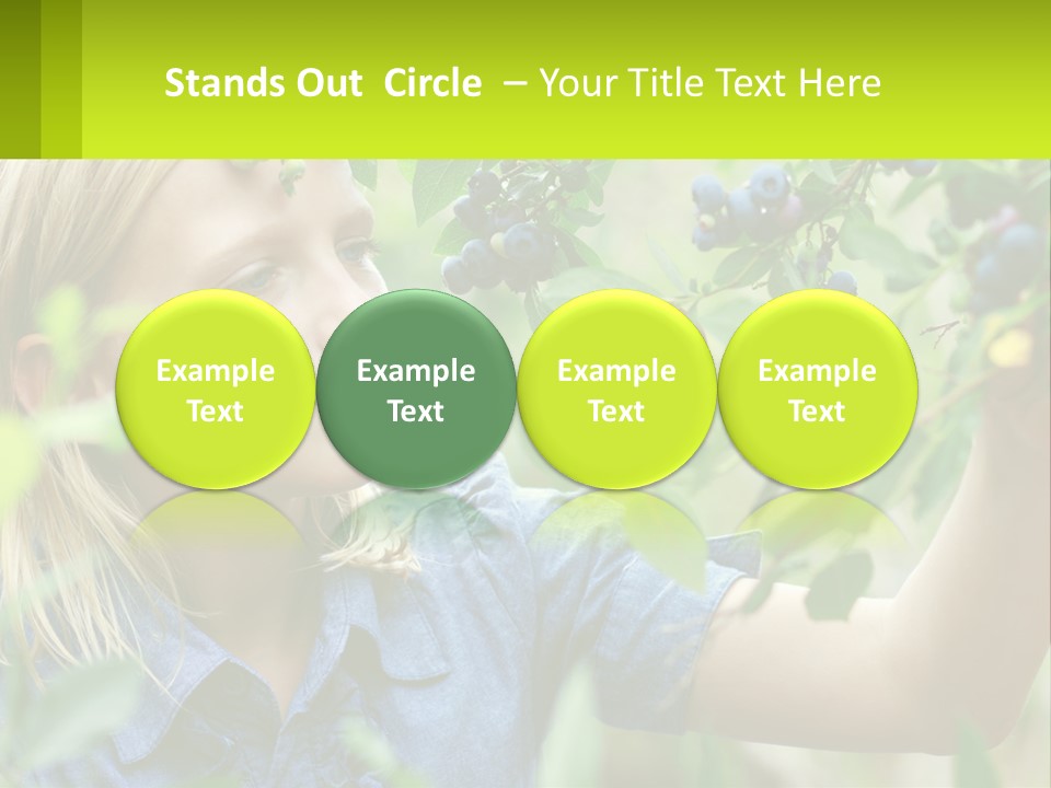 The Girl Collects Blueberries PowerPoint Template