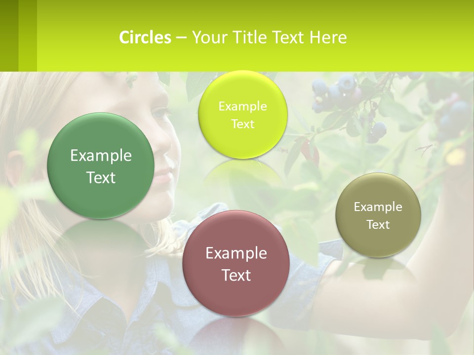 The Girl Collects Blueberries PowerPoint Template