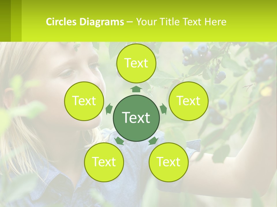 The Girl Collects Blueberries PowerPoint Template