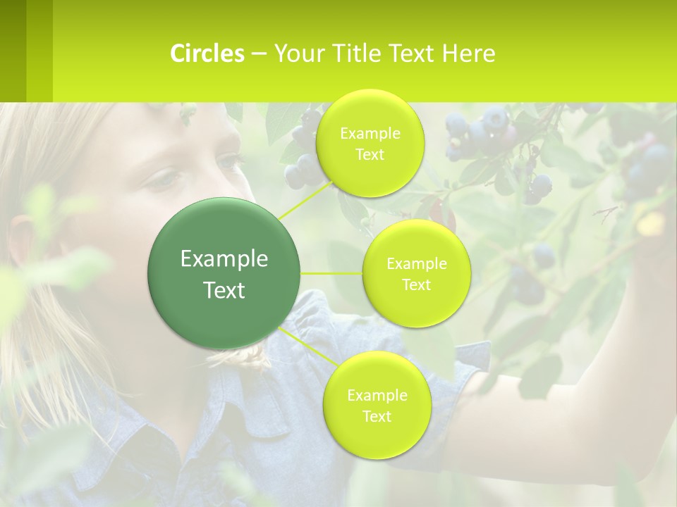 The Girl Collects Blueberries PowerPoint Template