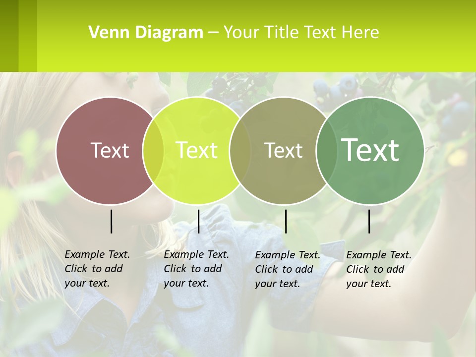 The Girl Collects Blueberries PowerPoint Template