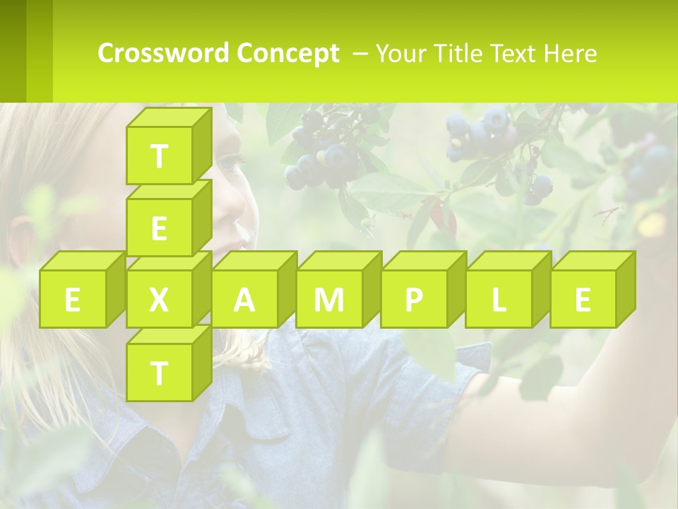 The Girl Collects Blueberries PowerPoint Template