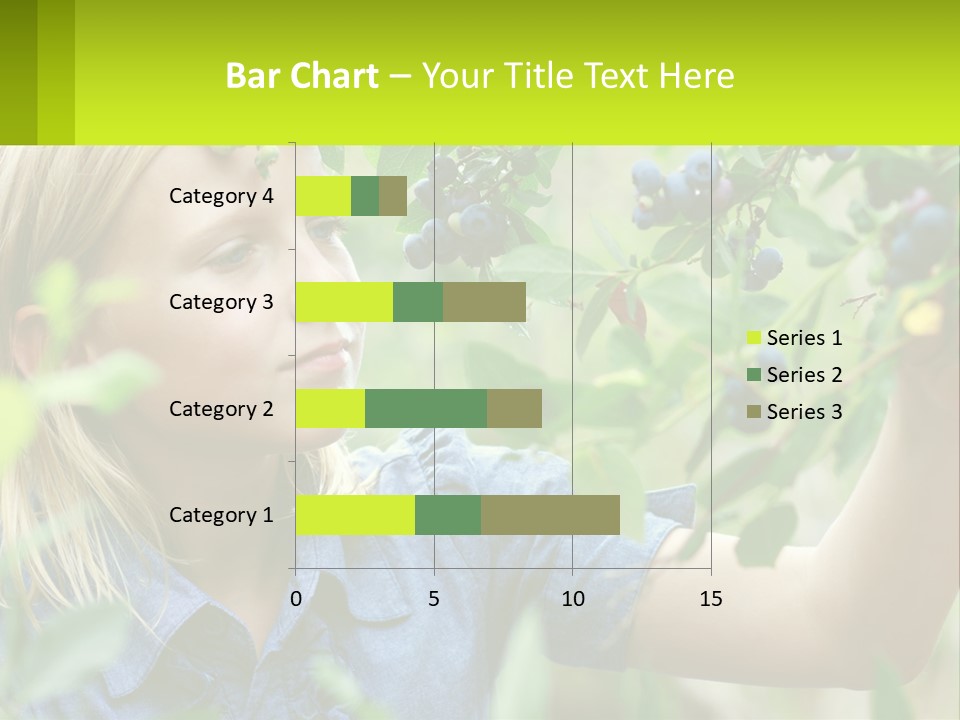 The Girl Collects Blueberries PowerPoint Template