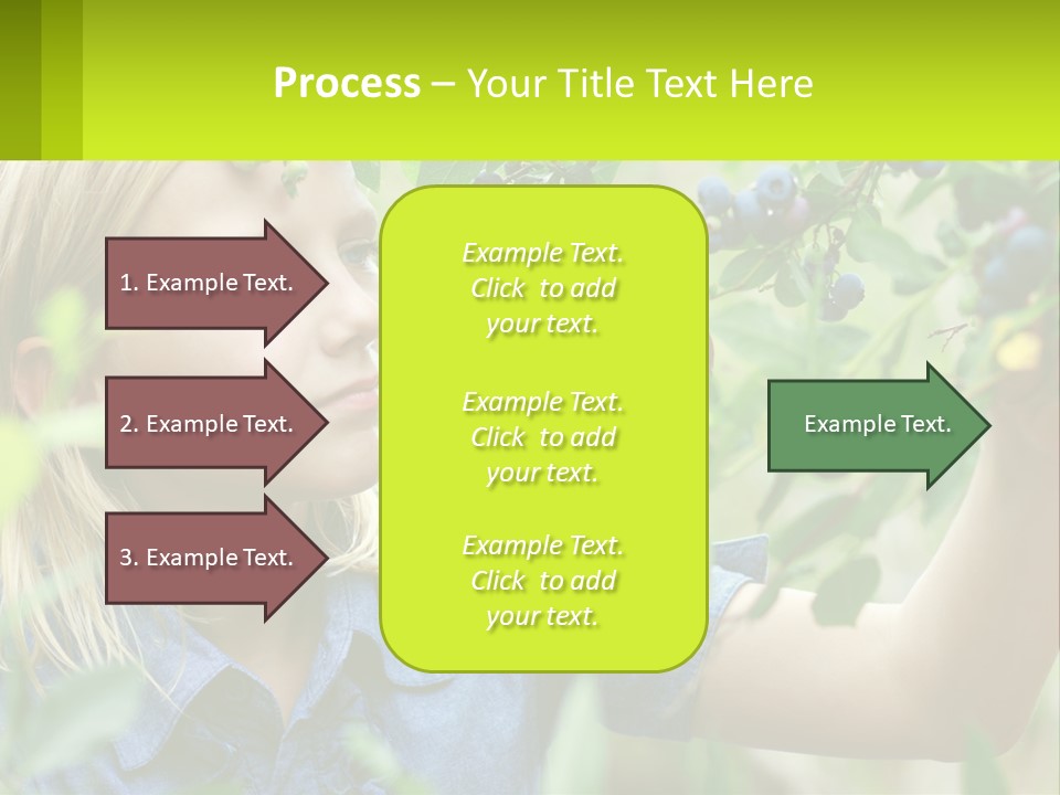 The Girl Collects Blueberries PowerPoint Template