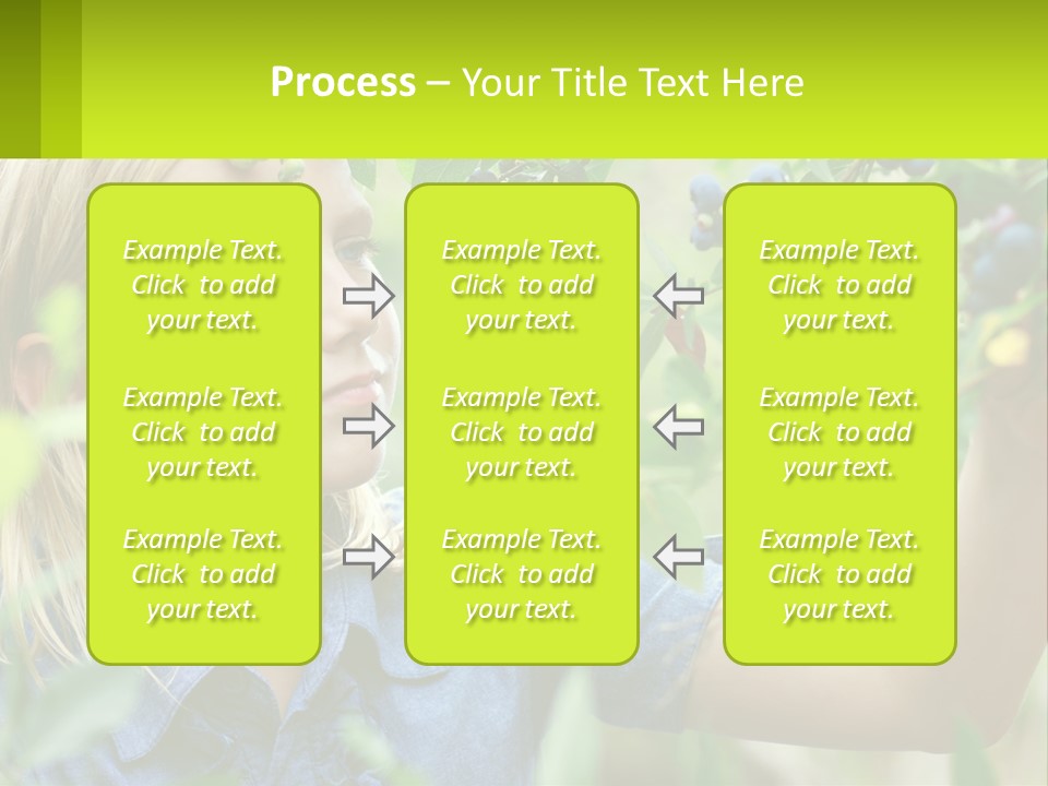 The Girl Collects Blueberries PowerPoint Template