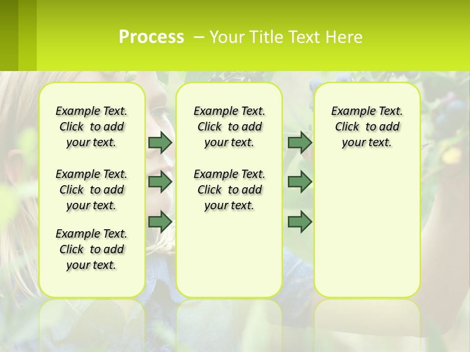 The Girl Collects Blueberries PowerPoint Template